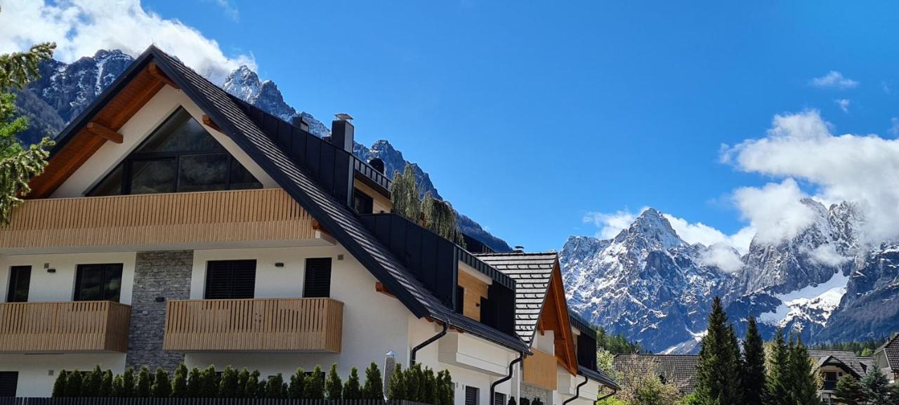 Vila Mojca Apartments Jasna & Jelka クランスカゴーラ エクステリア 写真