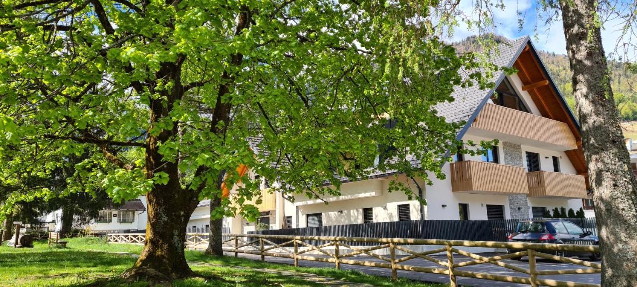 Vila Mojca Apartments Jasna & Jelka クランスカゴーラ エクステリア 写真