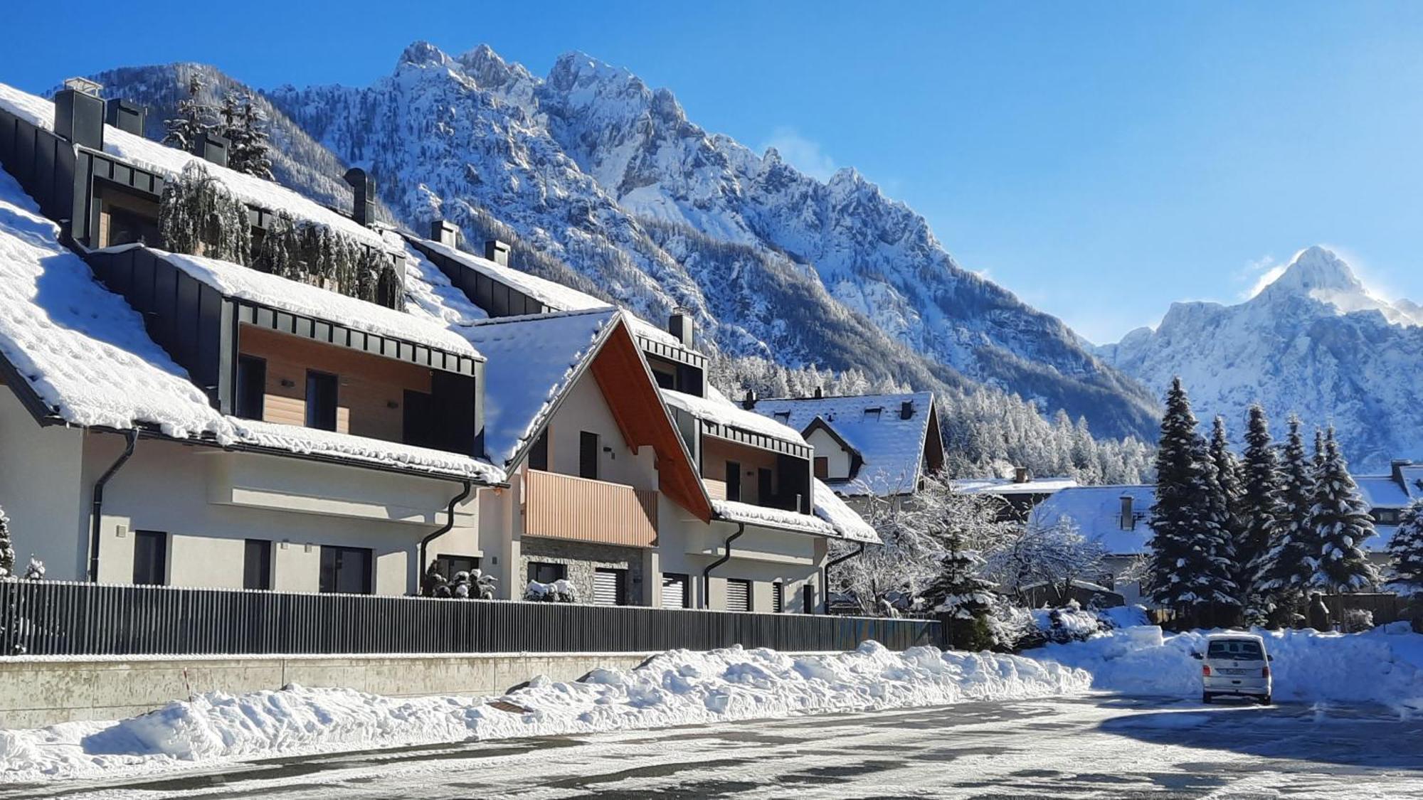 Vila Mojca Apartments Jasna & Jelka クランスカゴーラ エクステリア 写真