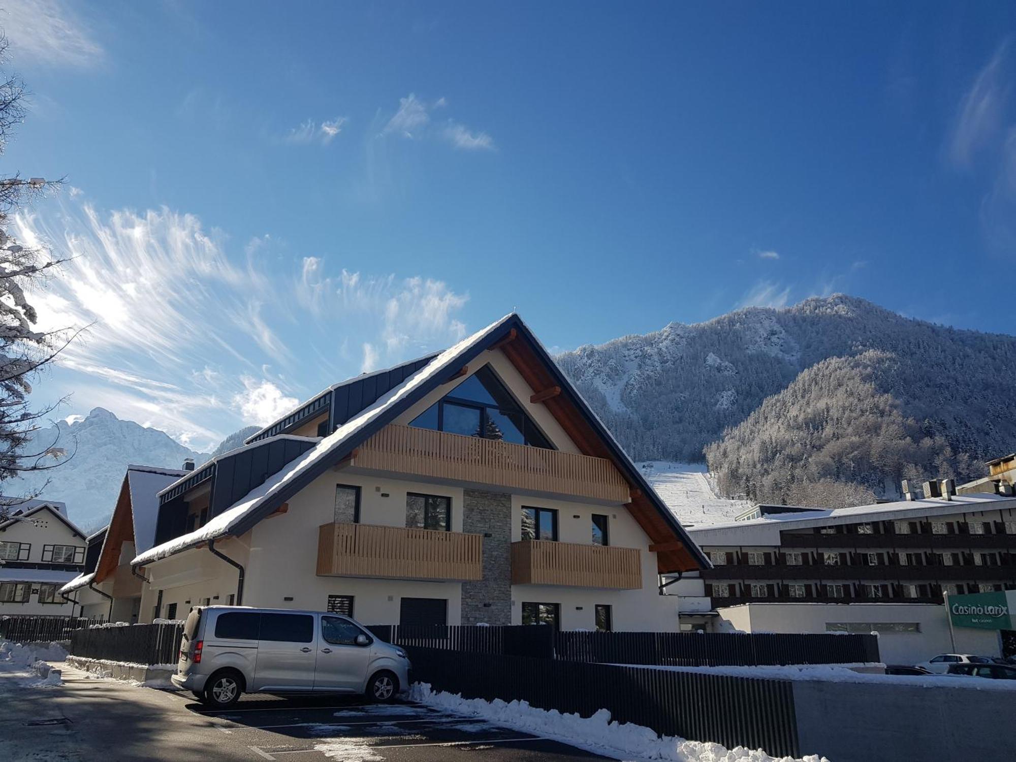 Vila Mojca Apartments Jasna & Jelka クランスカゴーラ エクステリア 写真